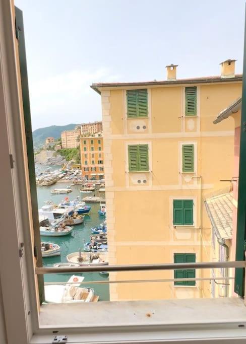 Attico Sul Porticciolo Antico Di Camogli Leilighet Eksteriør bilde