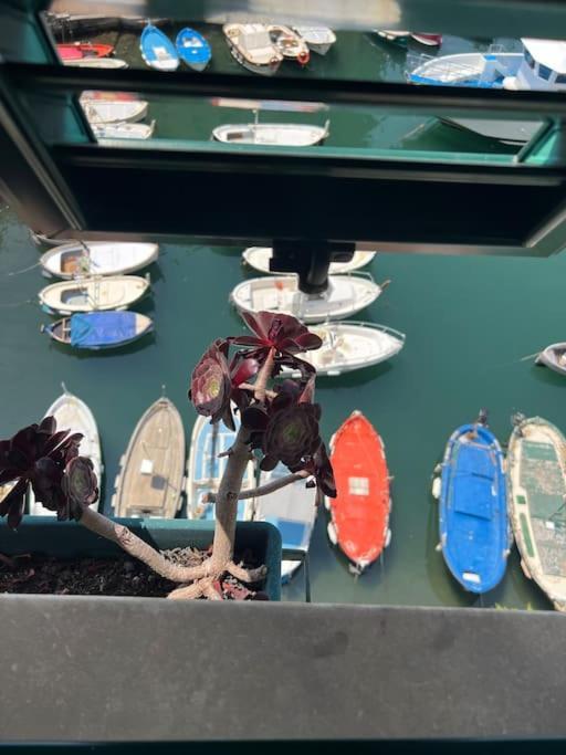 Attico Sul Porticciolo Antico Di Camogli Leilighet Eksteriør bilde