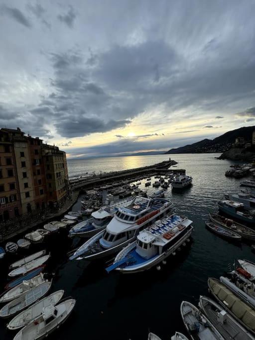 Attico Sul Porticciolo Antico Di Camogli Leilighet Eksteriør bilde
