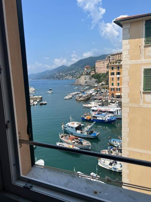 Attico Sul Porticciolo Antico Di Camogli Leilighet Eksteriør bilde